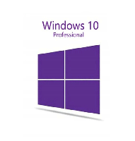 Microsoft Windows 10 Professional