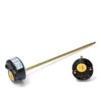 Термостат в н для водонагревателя RTM 220 85°C FF