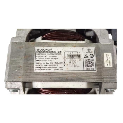 Двигатель стиральной машины Candy 45318699 (Wolong) вид 2